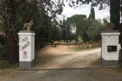 The entrance is clearly marked and the horses will come to welcome you
